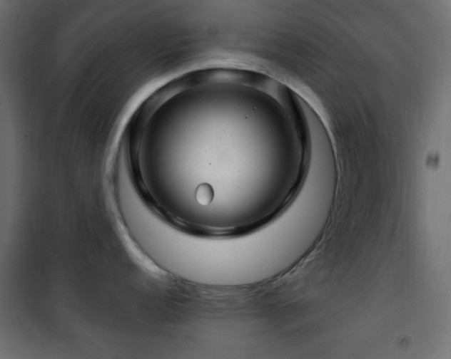 X0000101451152200807071359