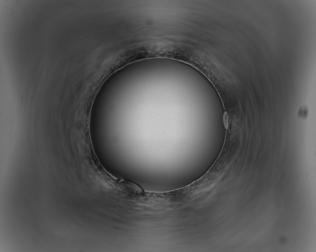 X0000101451153200807071358