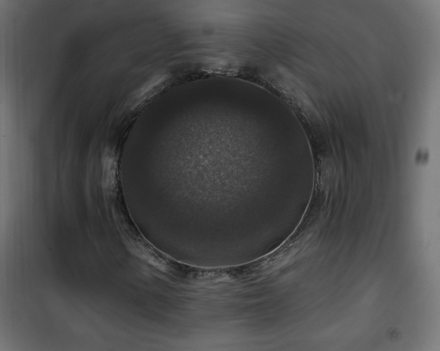 X0000101451154200807071358