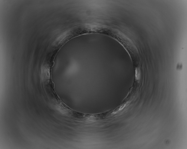 X0000101451155200807071358