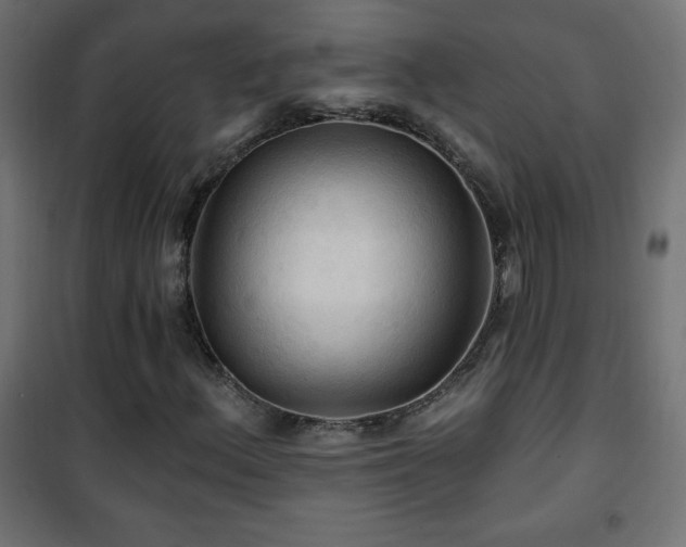 X0000101451156200807071358
