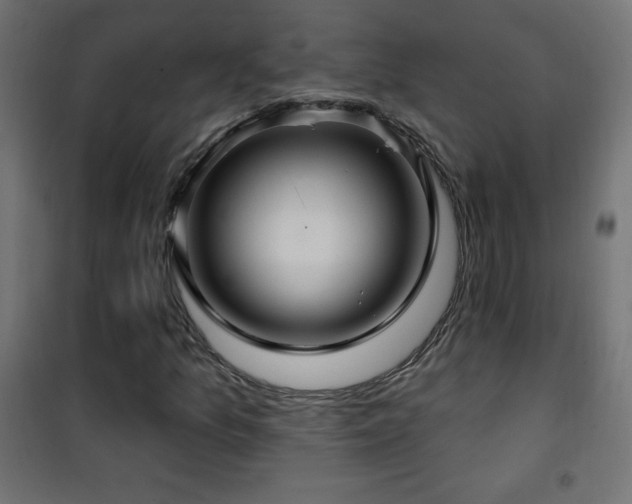 X0000101451157200807071358