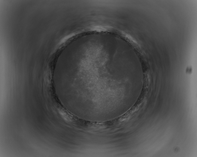 X0000101451158200807071358