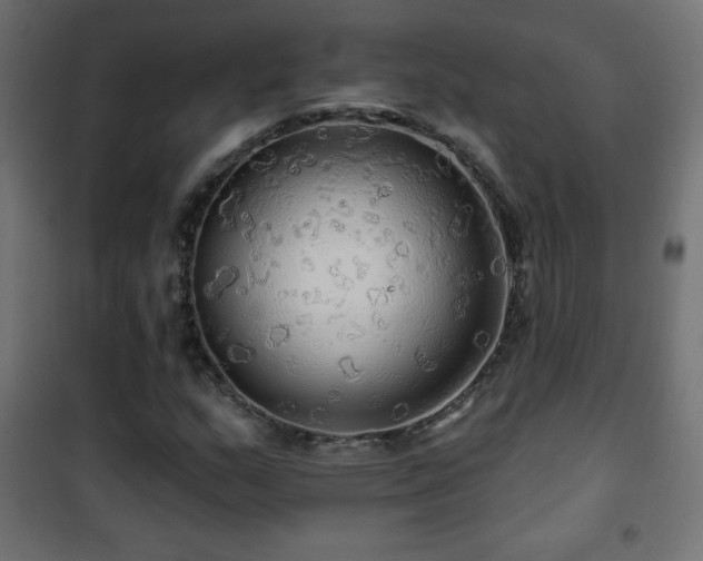X0000101451159200807071358