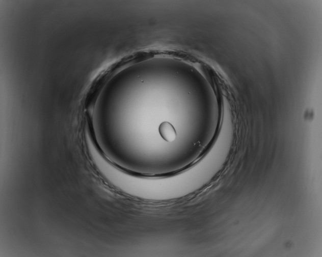 X0000101451160200807071358