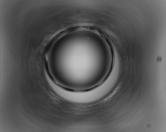 X0000101451161200807071358