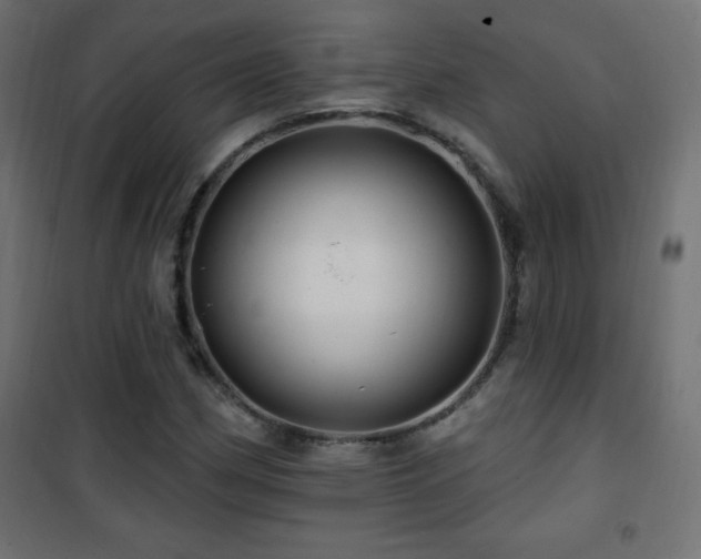 X0000101451162200807071358