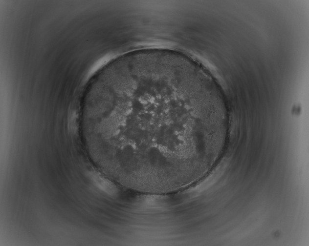 X0000101451163200807071358