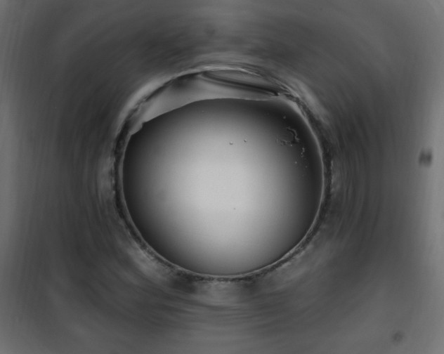 X0000101451164200807071358