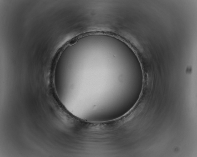 X0000101451165200807071358