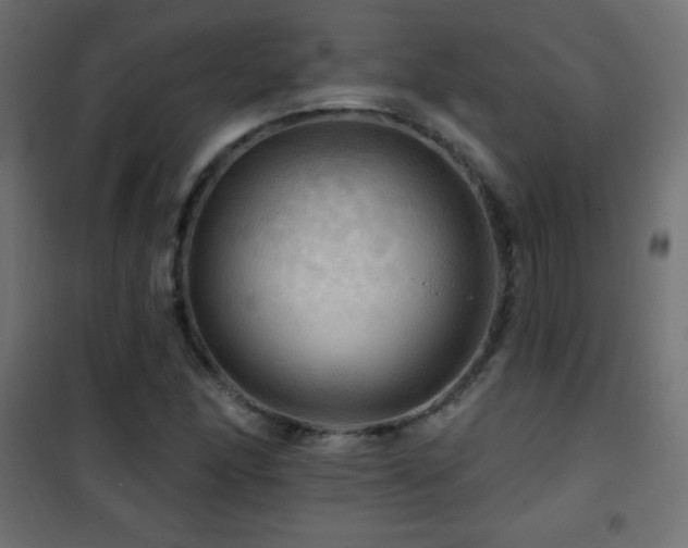 X0000101451166200807071358