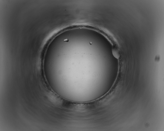 X0000101451167200807071358