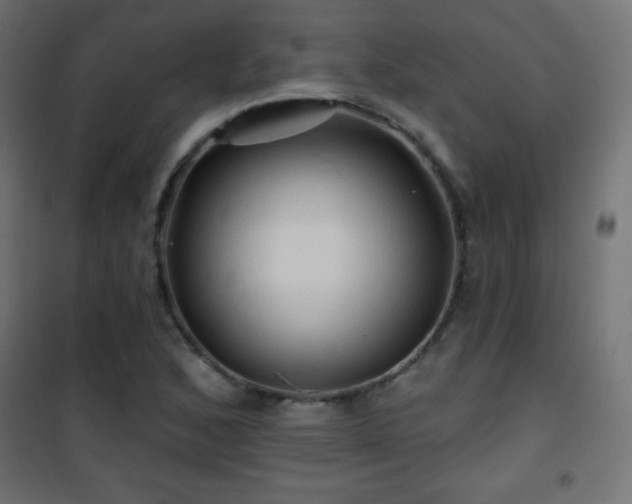 X0000101451168200807071358