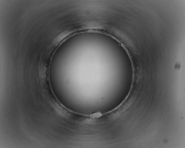 X0000101451169200807071358