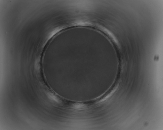 X0000101451170200807071358