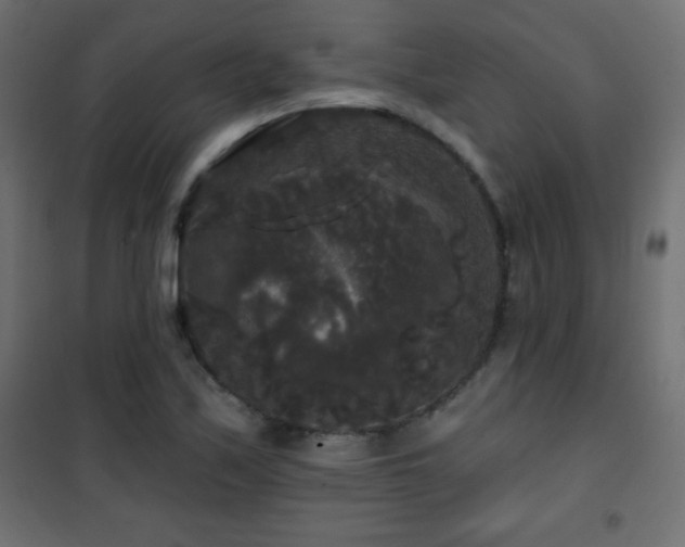 X0000101451171200807071358