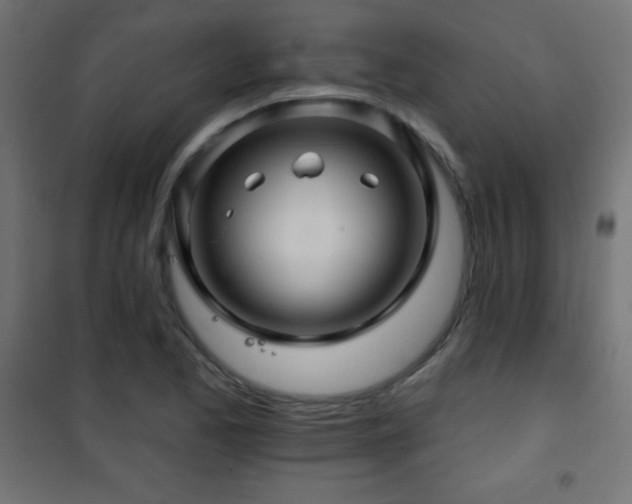 X0000101451173200807071358