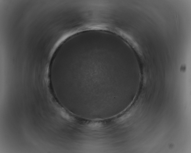 X0000101451174200807071358