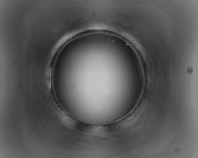 X0000101451175200807071358
