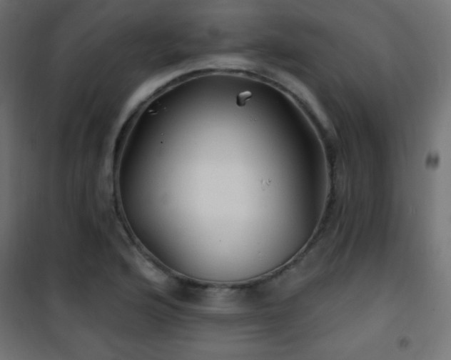 X0000101451176200807071358