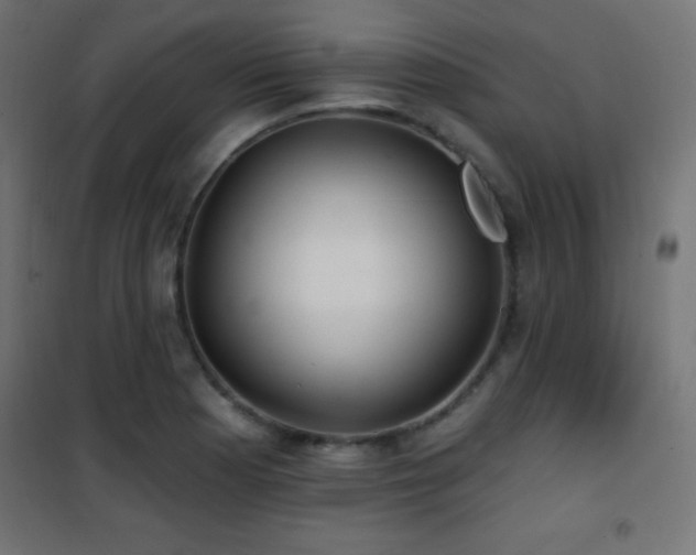 X0000101451177200807071358