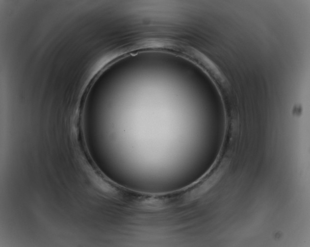 X0000101451178200807071358