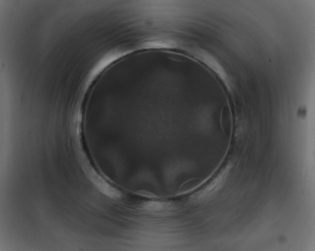 X0000101451179200807071358