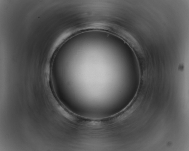 X0000101451180200807071358