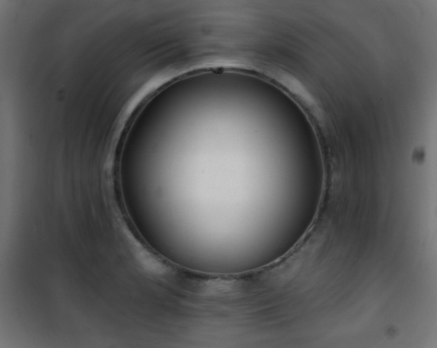 X0000101451181200807071358