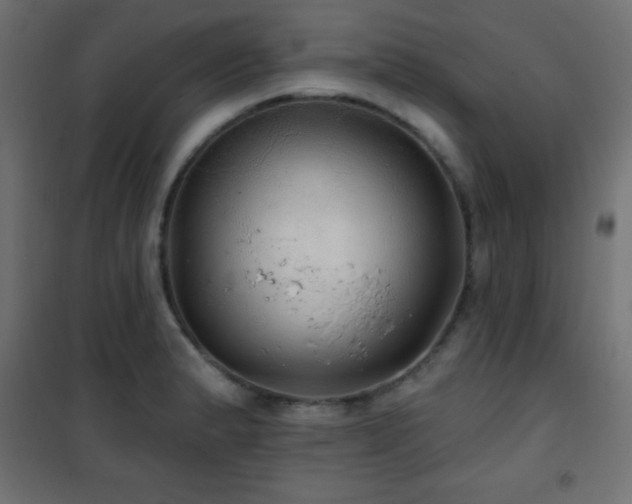 X0000101451183200807071358