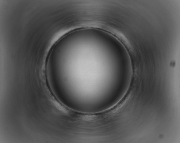 X0000101451184200807071358