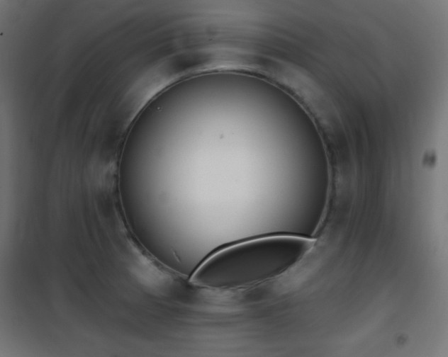 X0000101451185200807071358