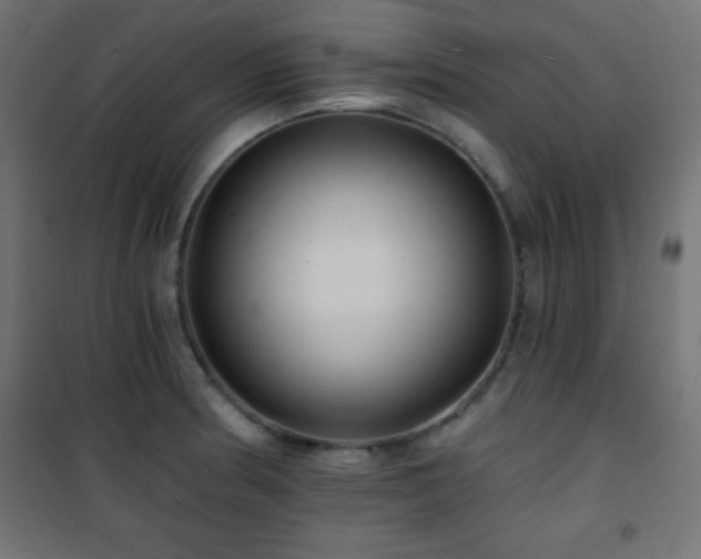 X0000101451186200807071358