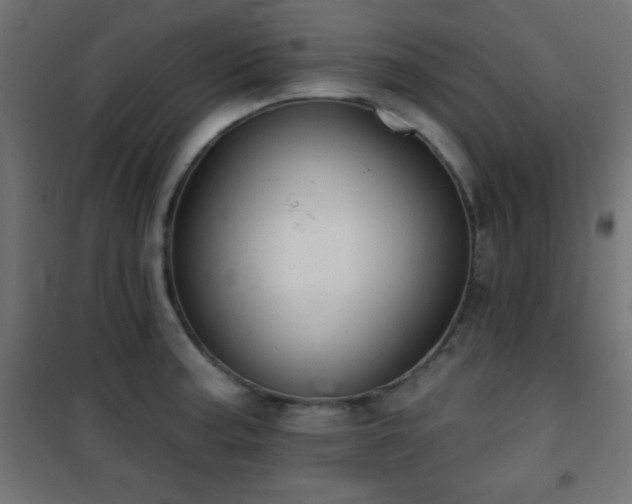X0000101451187200807071358