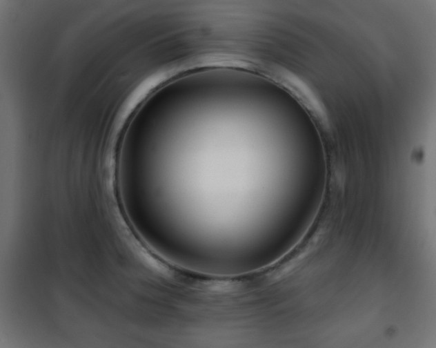 X0000101451188200807071358