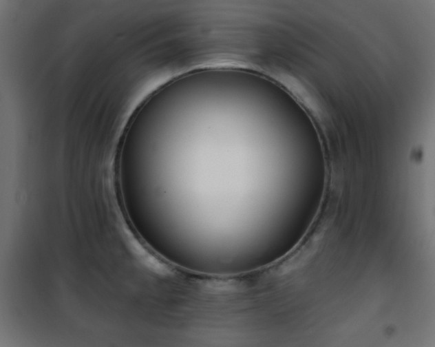 X0000101451189200807071358