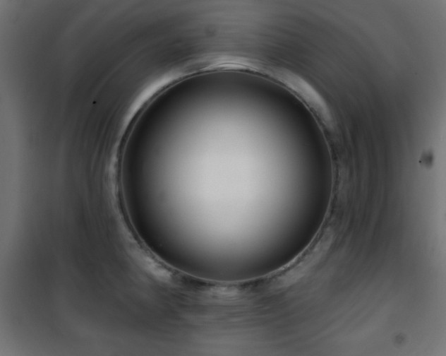 X0000101451190200807071358