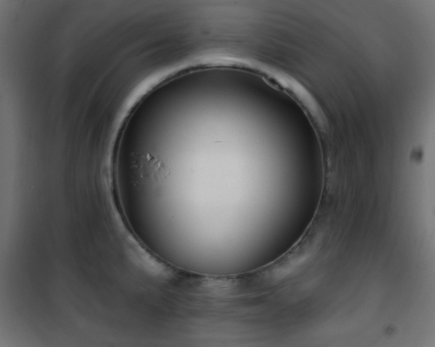 X0000101451191200807071358