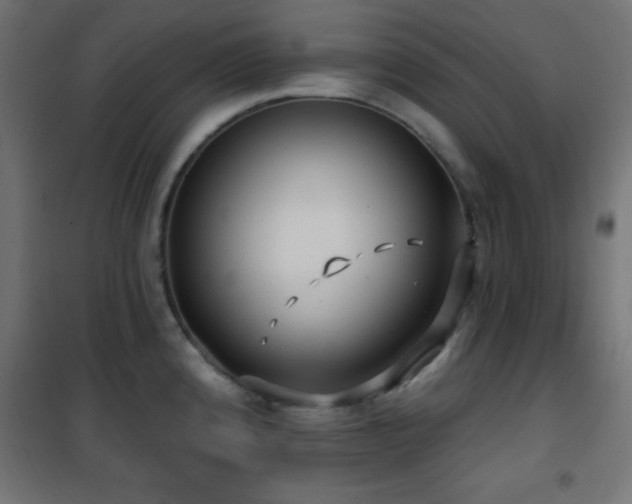 X0000101451192200807071358