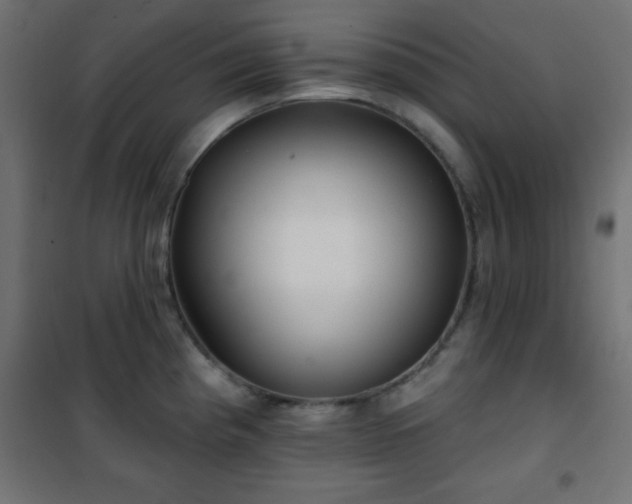 X0000101451193200807071358