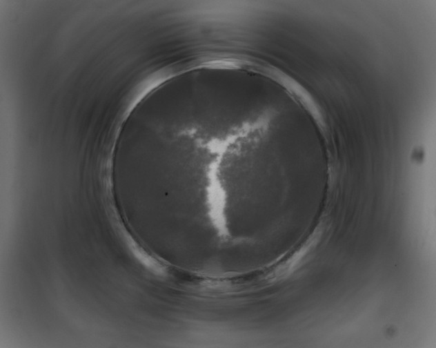 X0000101451194200807071358