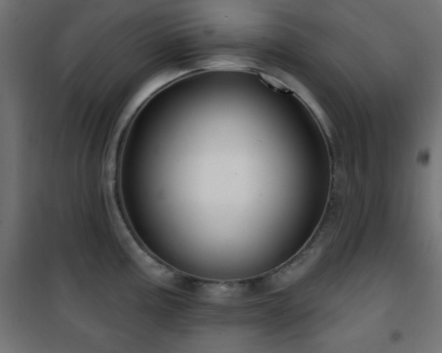 X0000101451195200807071358
