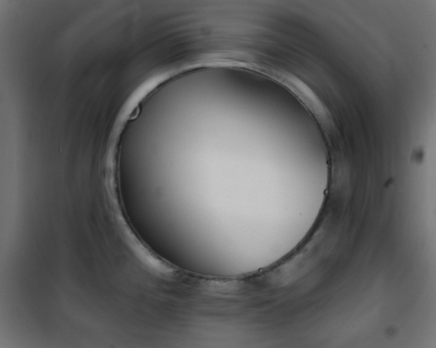 X0000101451196200807071358