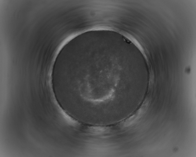 X0000101451197200807071358