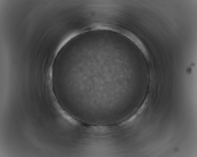 X0000101451198200807071358