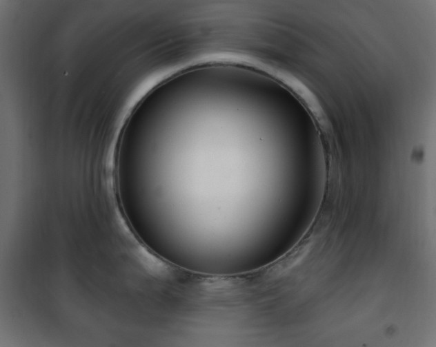 X0000101451199200807071358