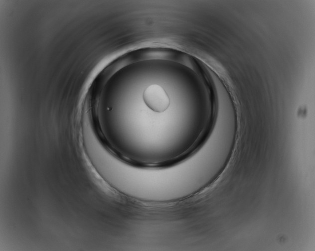 X0000101451200200807071358