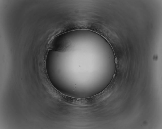 X0000101451201200807071357
