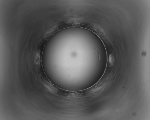 X0000101451203200807071357