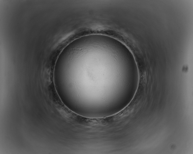 X0000101451205200807071357